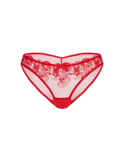 Astria Full Brief Metallic Red | Agent Provocateur