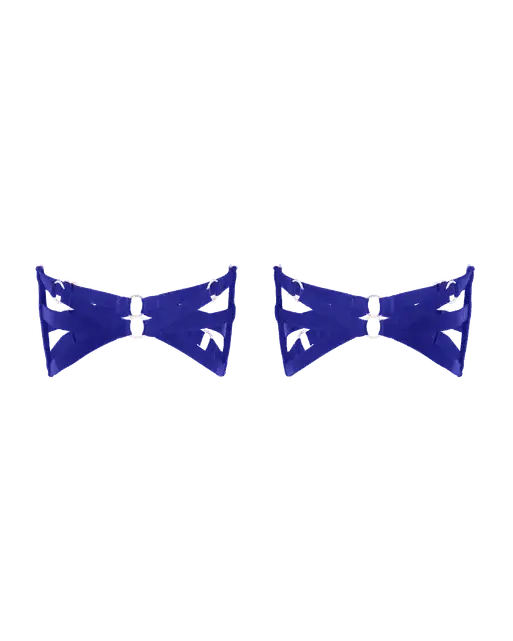 Dioni Garter Set Cobalt | Agent Provocateur