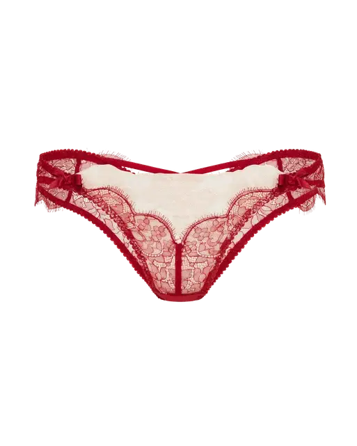 Vitoria Brazilian Brief  Burgundy/Blush | Agent Provocateur