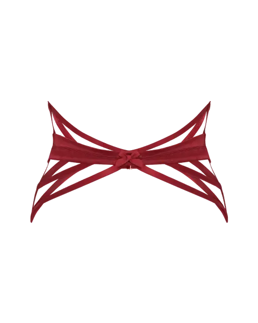 Briella Waspie Burgundy | Agent Provocateur